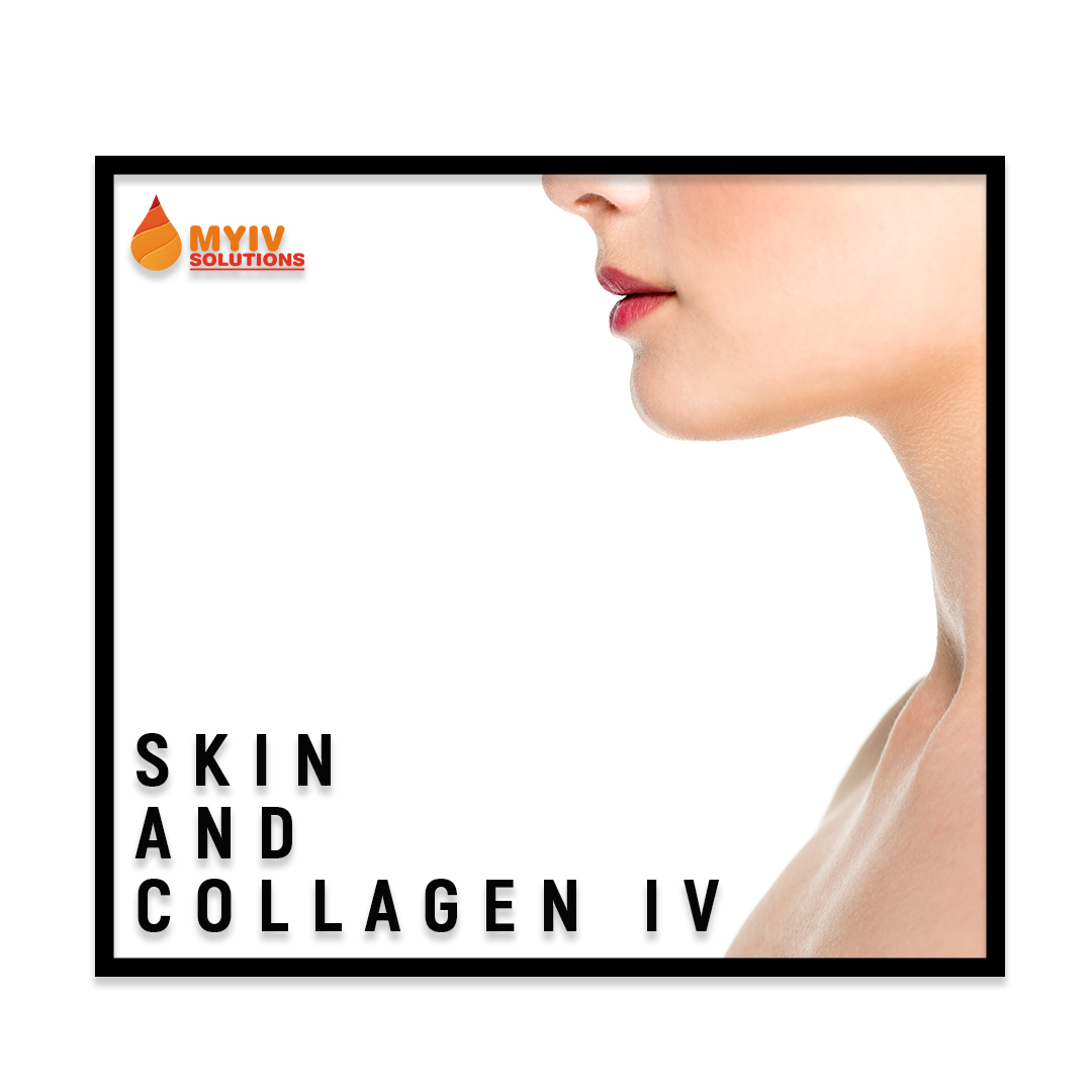 14-MYIV-SKIN AND COLLAGEN IV-JPEG